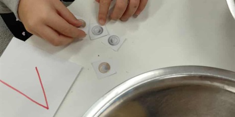 Powiększ grafikę: Warsztaty kulinarne