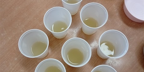 Powiększ grafikę: Warsztaty kulinarne